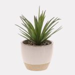 Pellentesque posuere