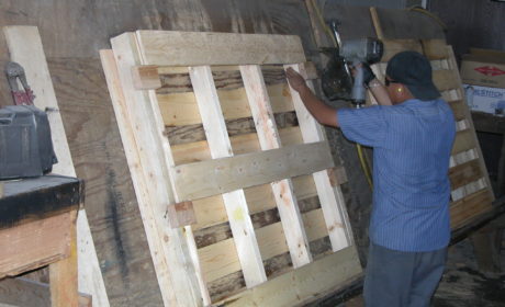 Products New Pallet - Production 1