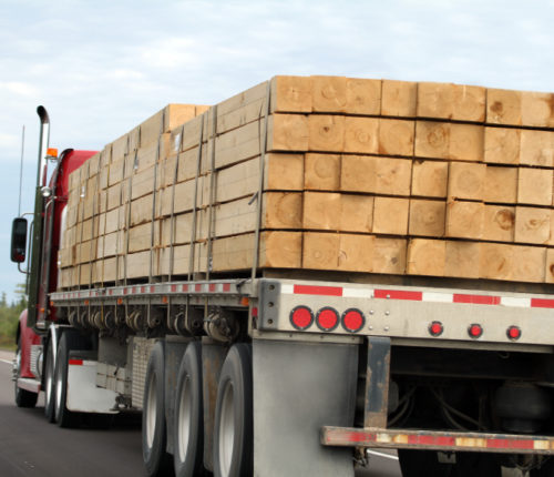 Trucks loaded with lumber