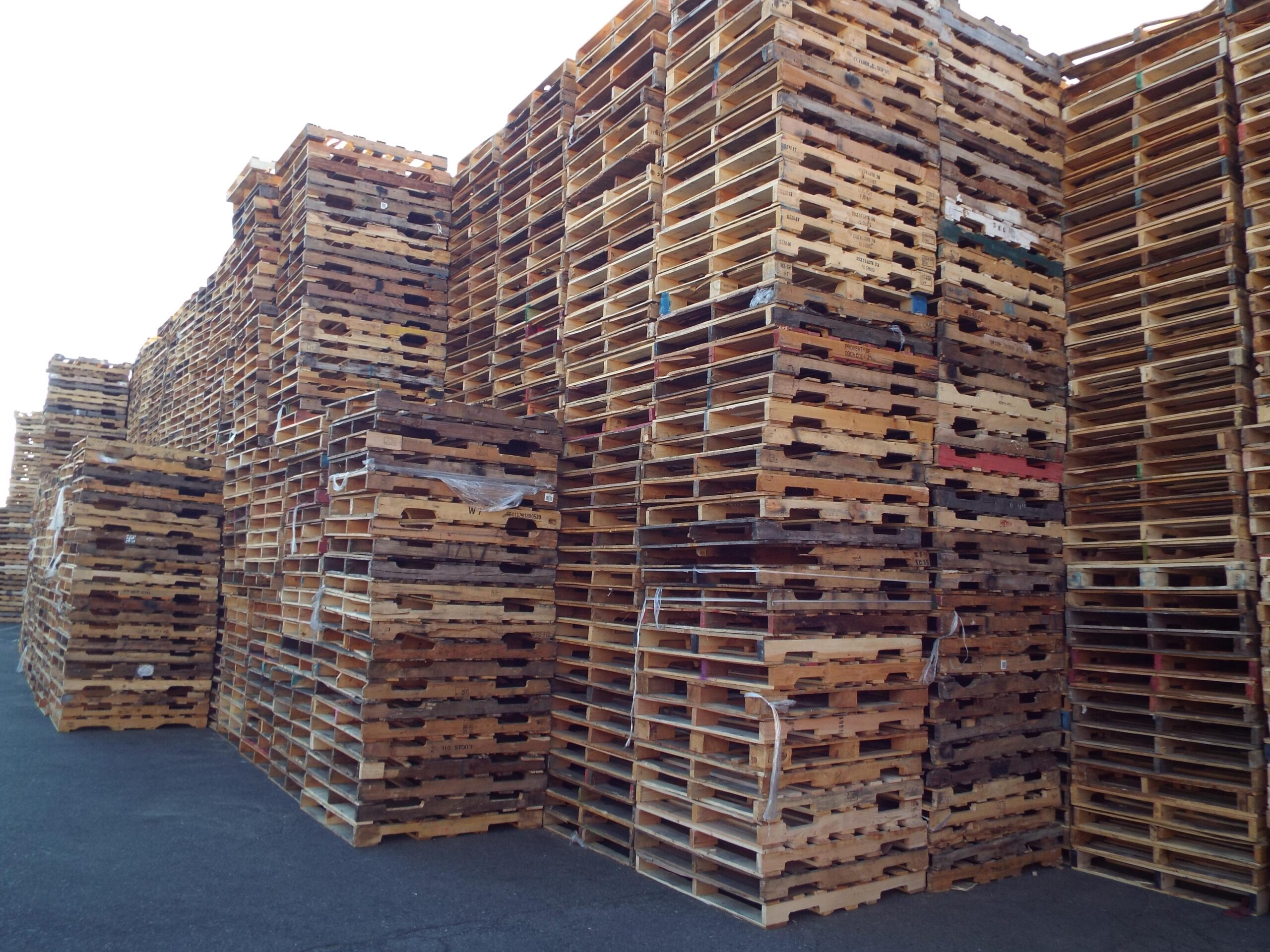 About Us - Sustain - Recycled pallets